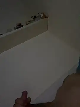 הופעת וובקאם של lehmann24