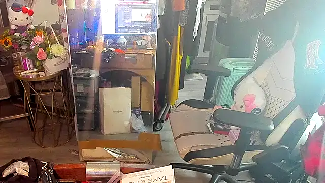 Show Webcam de Motherbigbus