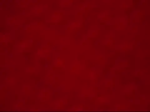 Živý XXX chat Little_ebonyx