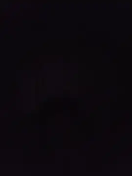 tutgfd webkamerás műsora