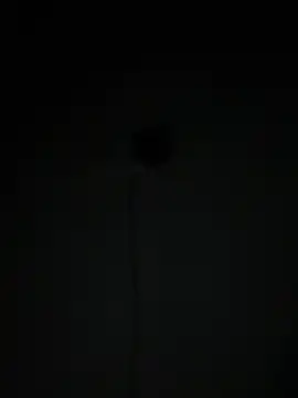 like_a_nudのライブXXXチャット