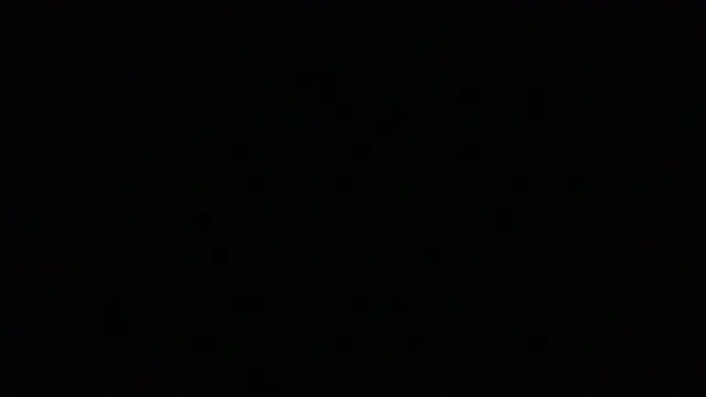 NuttyProfesir webcam show