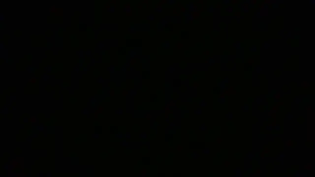 NuttyProfesirのウェブカメラショー
