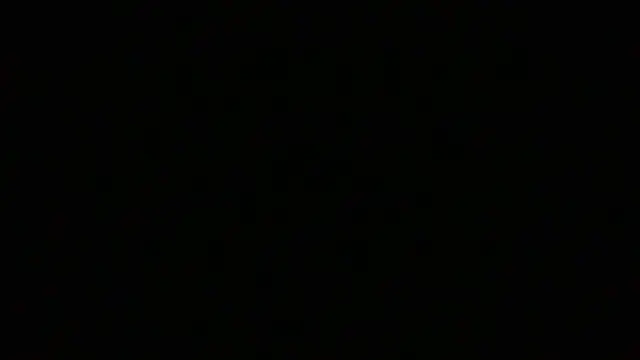 NuttyProfesir Show Webcam
