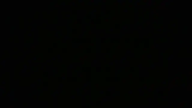 NuttyProfesir 网络视讯表演