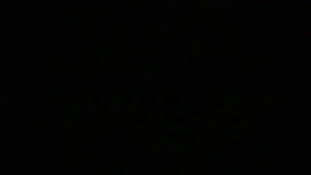 NuttyProfesirのウェブカメラショー