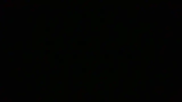 NuttyProfesirのウェブカメラショー