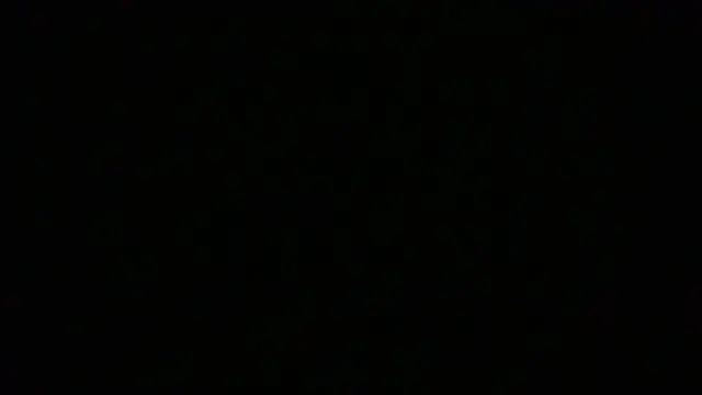 NuttyProfesirのウェブカメラショー