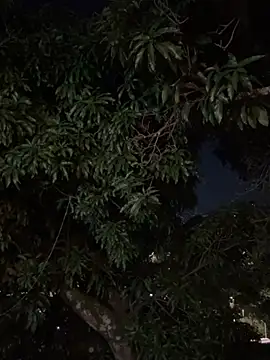 Jamess_White 现场XXX聊天