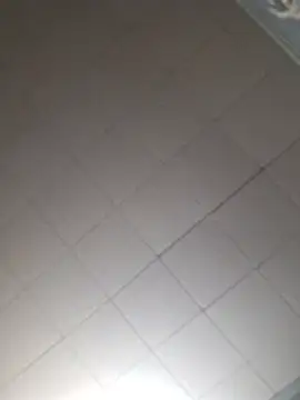 19JaSon83's Live XXX Chat