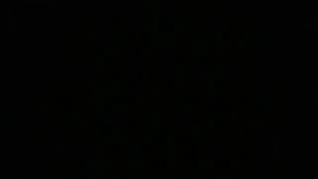 NuttyProfesir Webcam Show