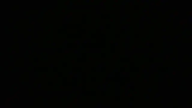 NuttyProfesir Webcam Show