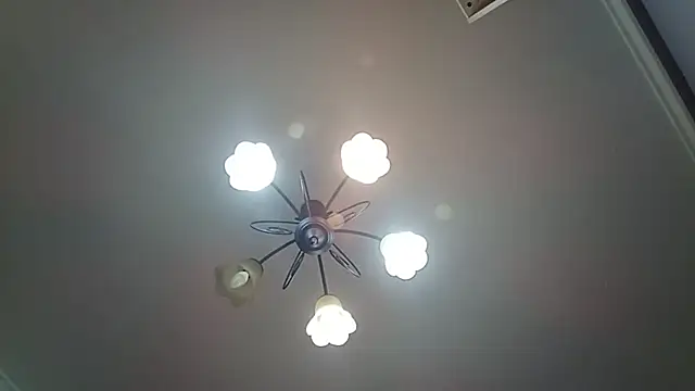lucky1661 라이브 XXX 채팅