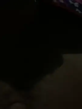 Webkamerová show wsb3c