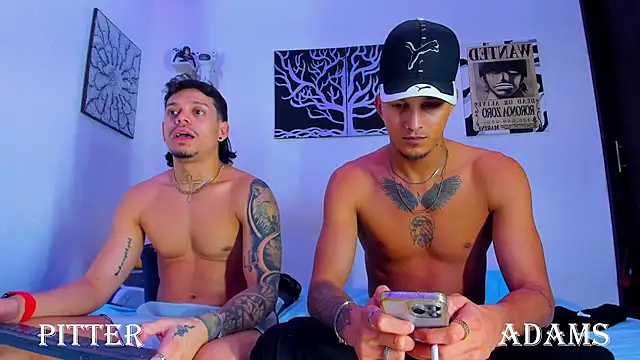 AdamsDvi Chat XXX live