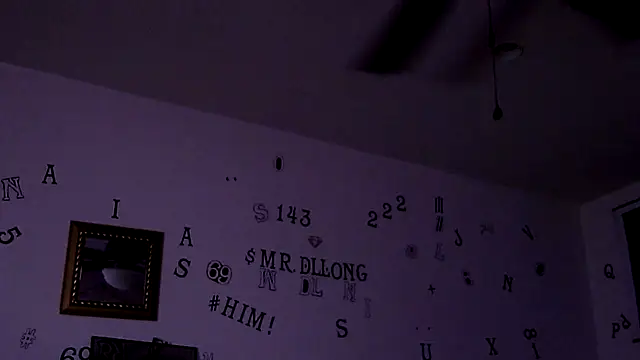 TheRealMrDLlong's Webcam Show
