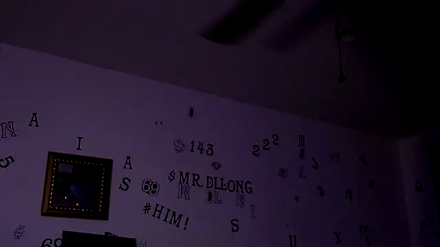โชว์เว็บแคมของ TheRealMrDLlong