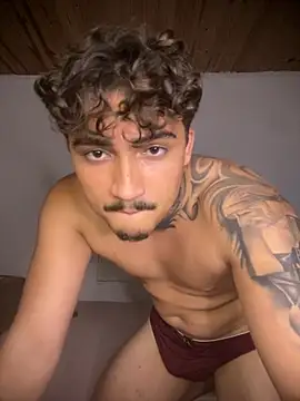 Show de picasso_25CM na webcam