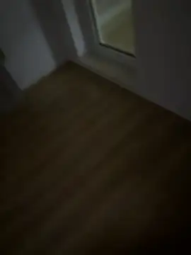 tran3 Webcam-Show