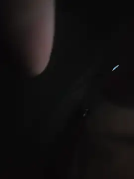 SingingTrunks' Live XXX Chat