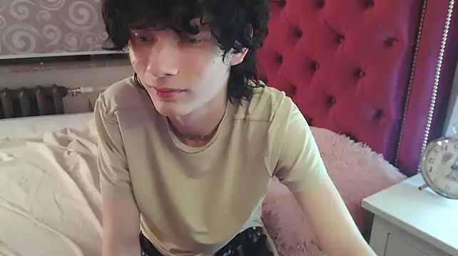 metlVV Webcam show