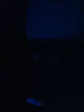 CABECUDOCTBAPRBRA Live XXX Chat