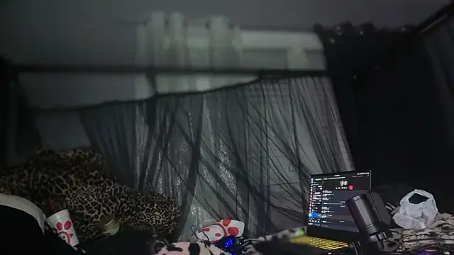 Altslxt Chat XXX live