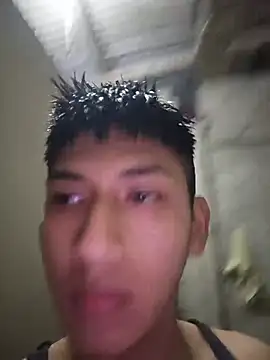 paxxvon Webbikameraesitys