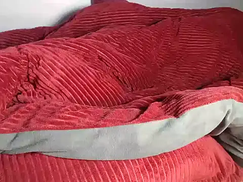 Chat +18 de sellector254 ao vivo