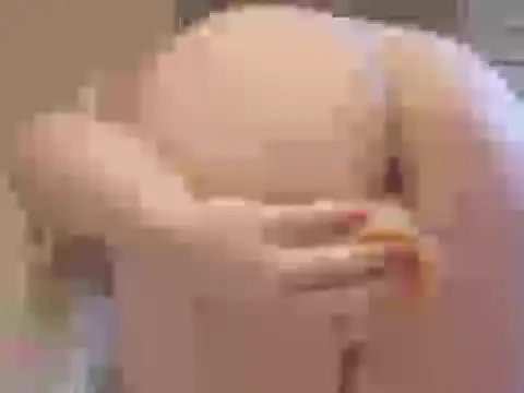 MeganTemptation élő XXX-chatje