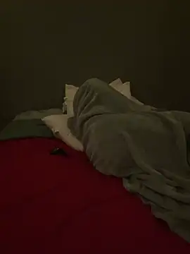 Festivitiesking1 Шоу с уебкамера
