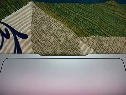 Webkamerová show mumbai_dick