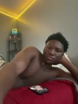 Show Webcam de Festivitiesking1