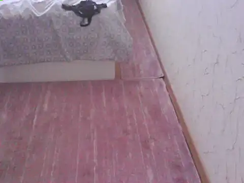 Chat +18 de svvs27 ao vivo