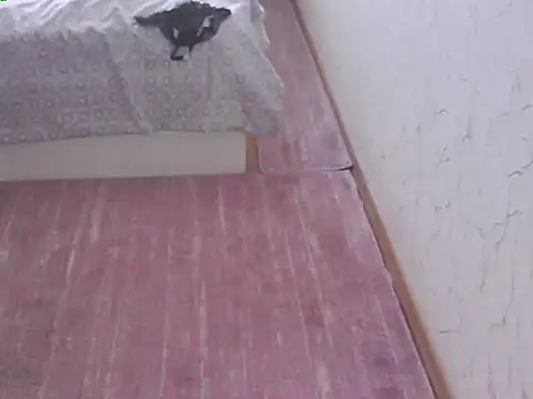 Czat XXX na żywo – svvs27