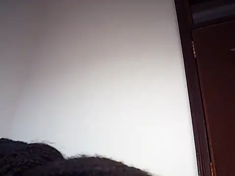 Chat XXX Live PreggoBeauty