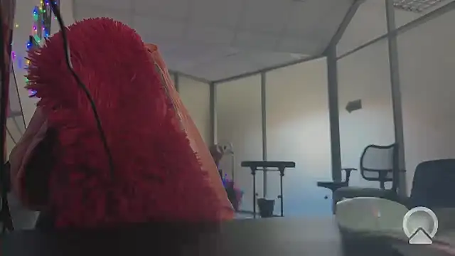 Chat +18 de Feloraa ao vivo
