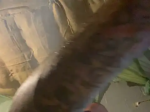 Eric87Baby Webcamshow