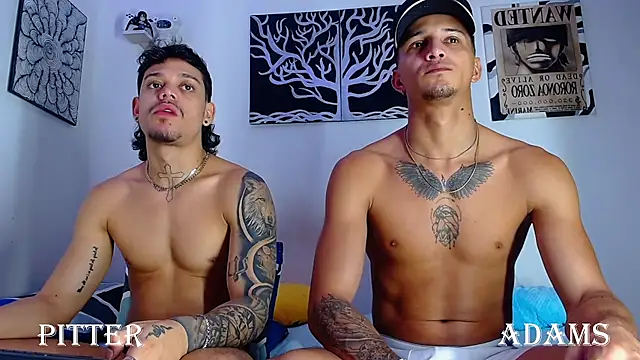AdamsDvi's Webcam Show