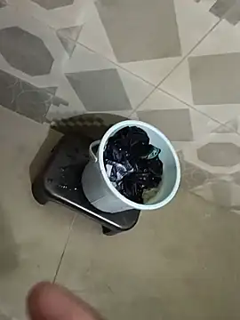 adear15 লাইভ XXX চ্যাট