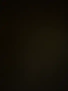 TheDime 现场XXX聊天