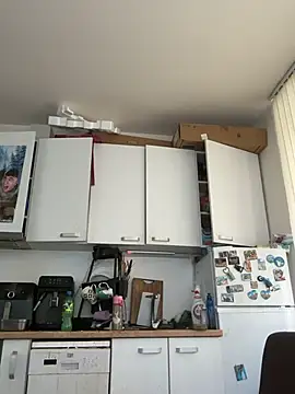 Živý XXX chat kotkite