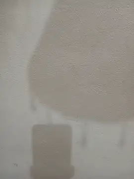 Tanha18 现场XXX聊天