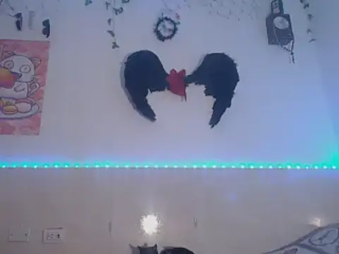 Chat XXX Live Dabria_luxee