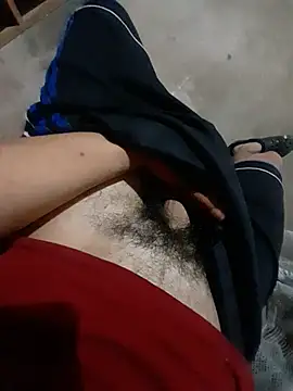 gtaa25 webcam show