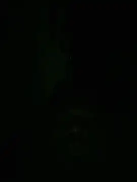 FluffingDub 即時 XXX 聊天