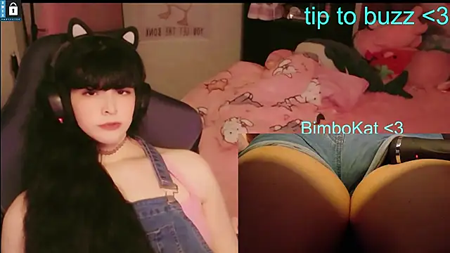 BimboCat Chat XXX live