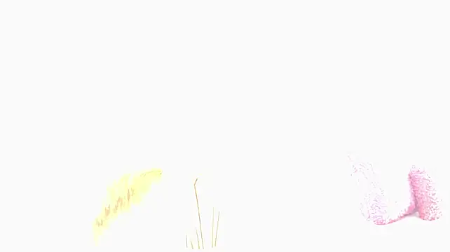 lizdevine Chat XXX live