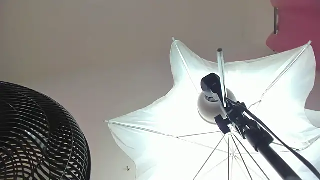 sofi_linares1 – Live XXX-chat