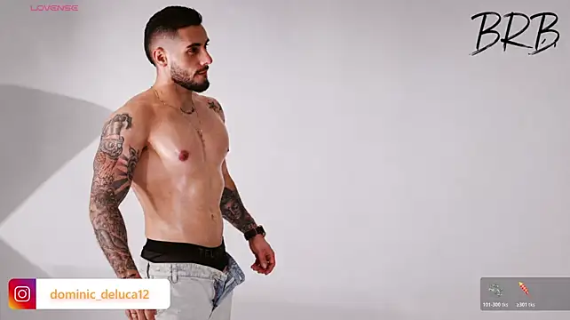 عرض كام dominic_de_luca